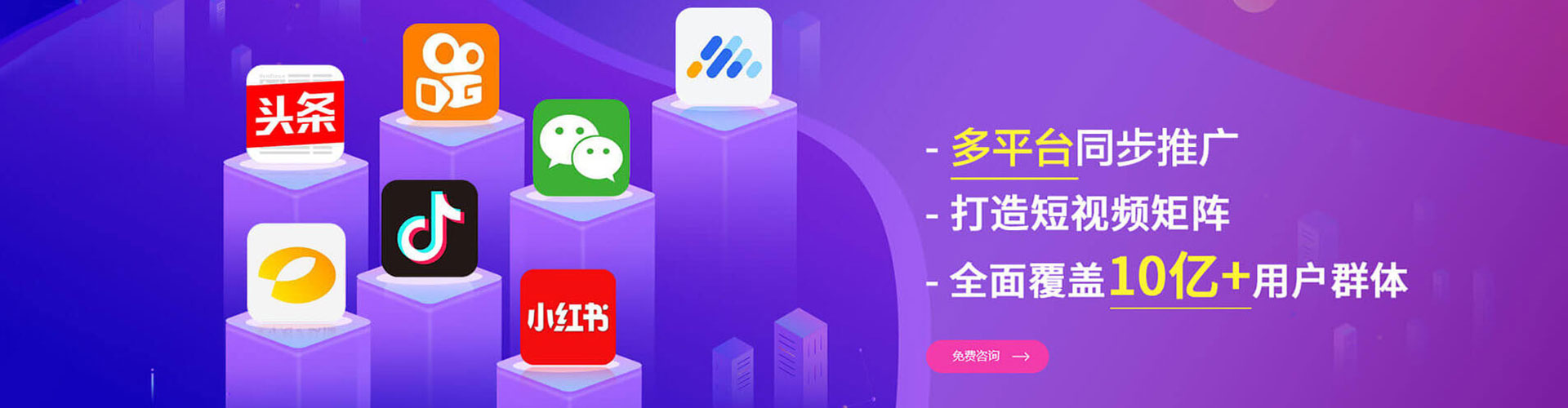 南和竞价托管